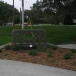 img 0203